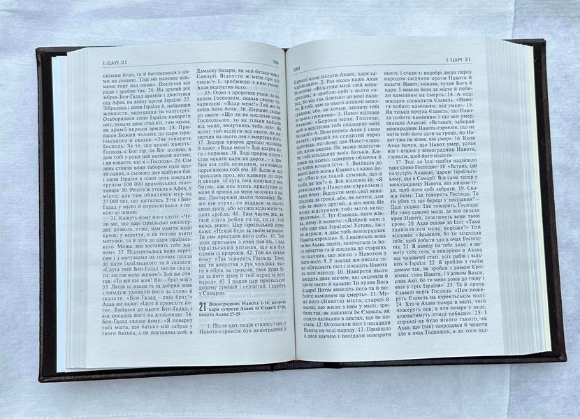 Унікальна подарункова «Біблія» Святе Письмо Старого і Нового Завіту (код 004 SF) 22*16 см 004 SF фото
