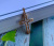 Хрестик Марі (код 0123) ювелірна біжутерія позолота